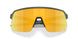 949609 - Grey - Prizm 24k