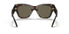 108/3 - Havana - Brown