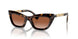 300213 - Brown - Brown Gradient