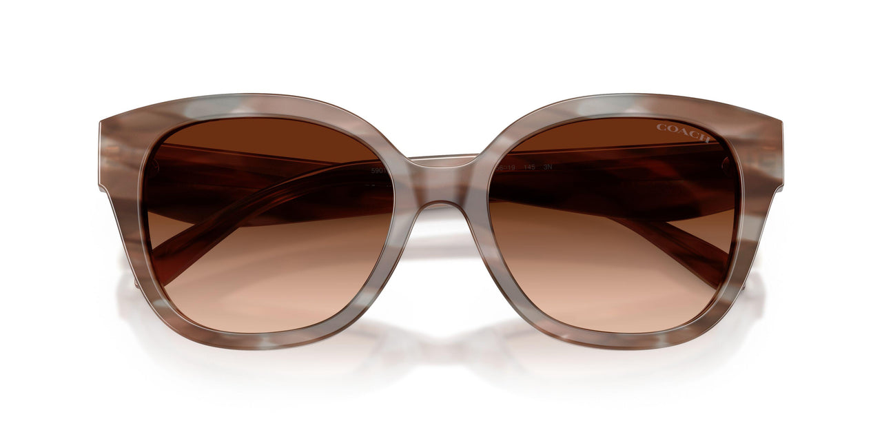 590174 - Brown - Brown Gradient