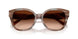 590174 - Brown - Brown Gradient