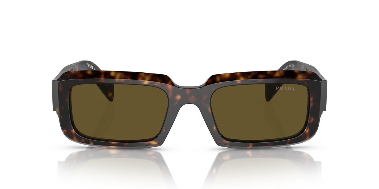 19J09Z - Green - Dark Brown