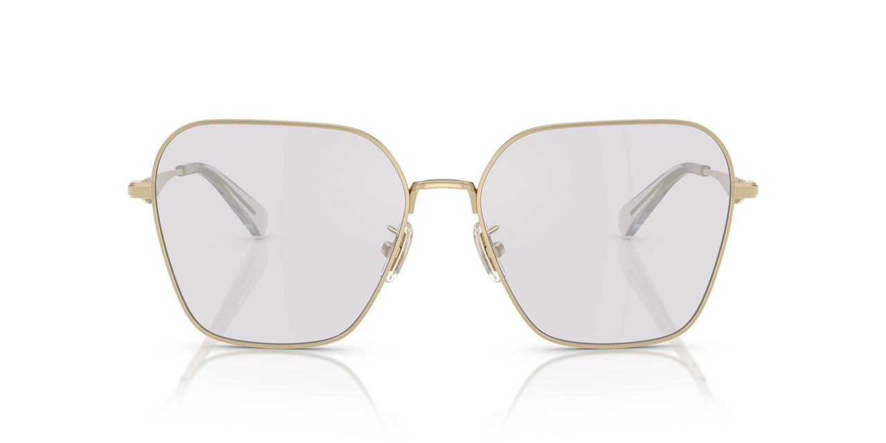 9005ZQ - Gold - Grey Photochromatic