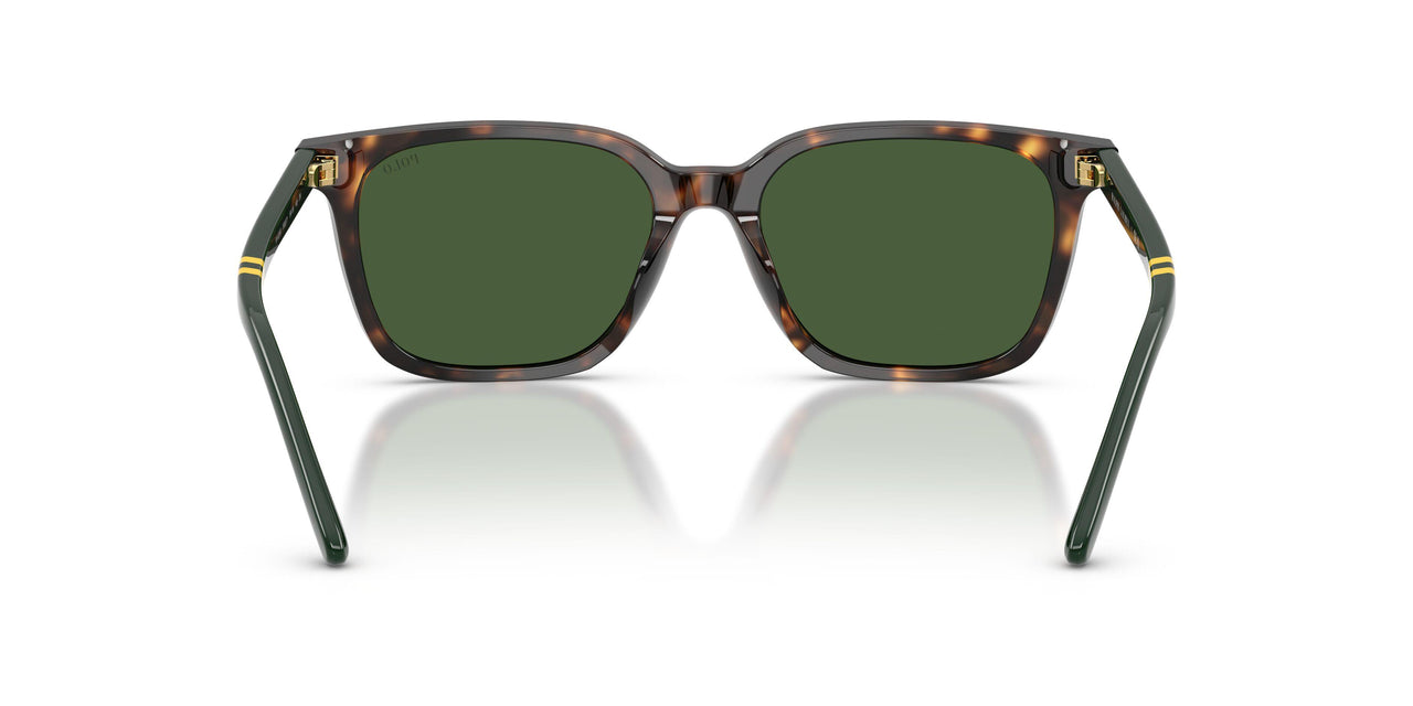 500371 - Tortoise - Bottle Green