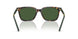 500371 - Tortoise - Bottle Green