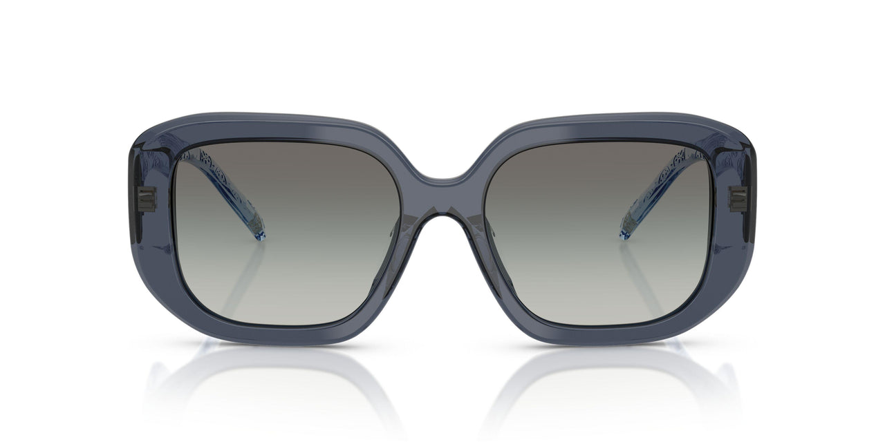 196311 - Blue - Gradient Grey