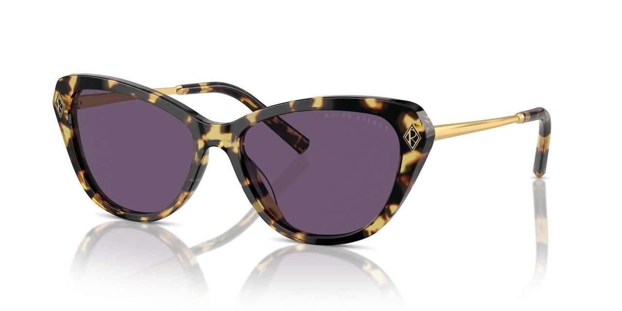 50041A - Brown - Purple