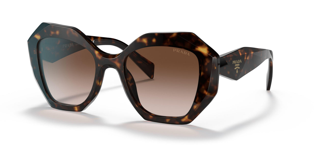 2AU6S1 - Havana - Brown Gradient