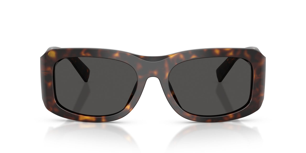 502/87 - Tortoise - Dark Grey