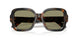 64782A - Tortoise - Green