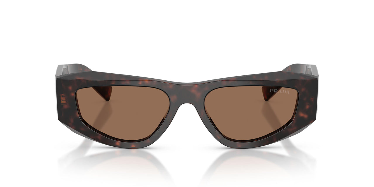 17N06B - Tortoise - Dark Brown