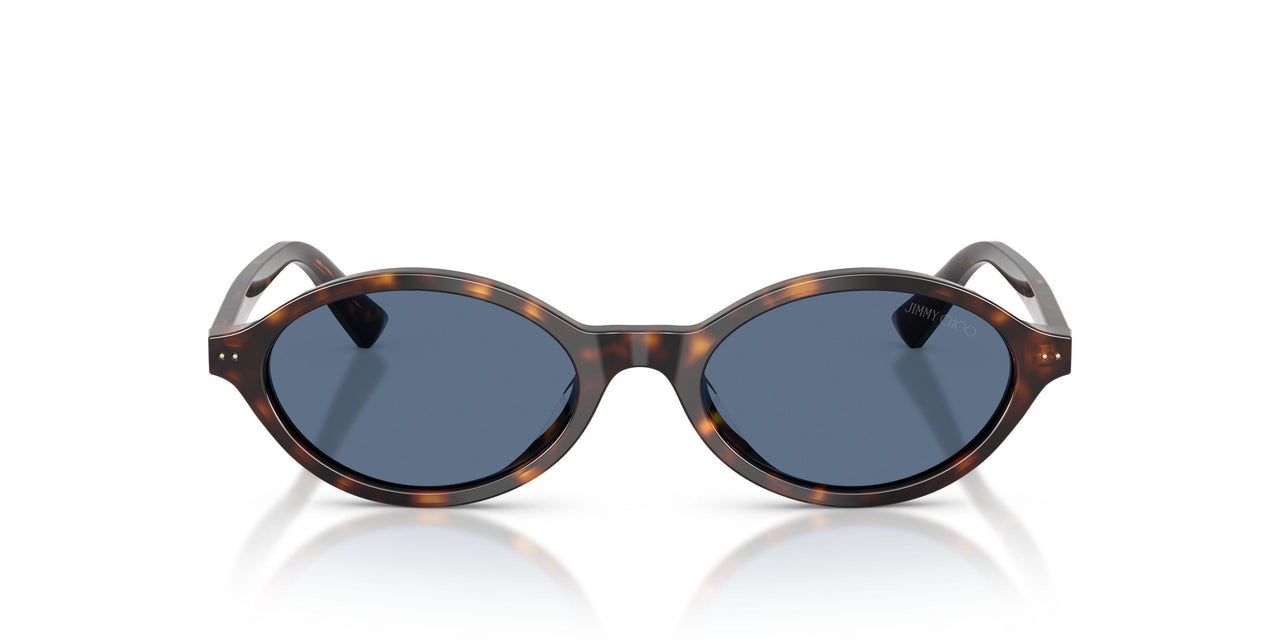 500280 - Tortoise - Blue