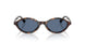 500280 - Tortoise - Blue