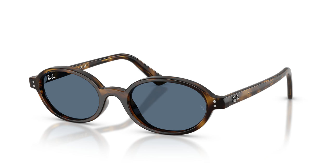 135980 - Tortoise - Dark Blue