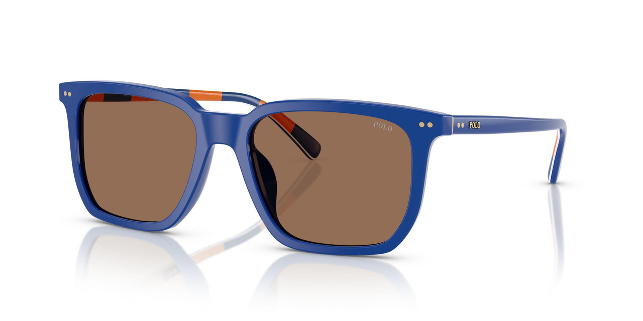 523573 - Blue - Dark Brown