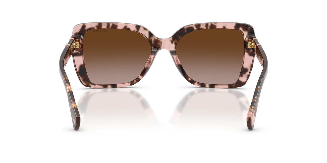 605813 - Tortoise - Gradient Brown