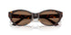 500273 - Tortoise - Dark Brown