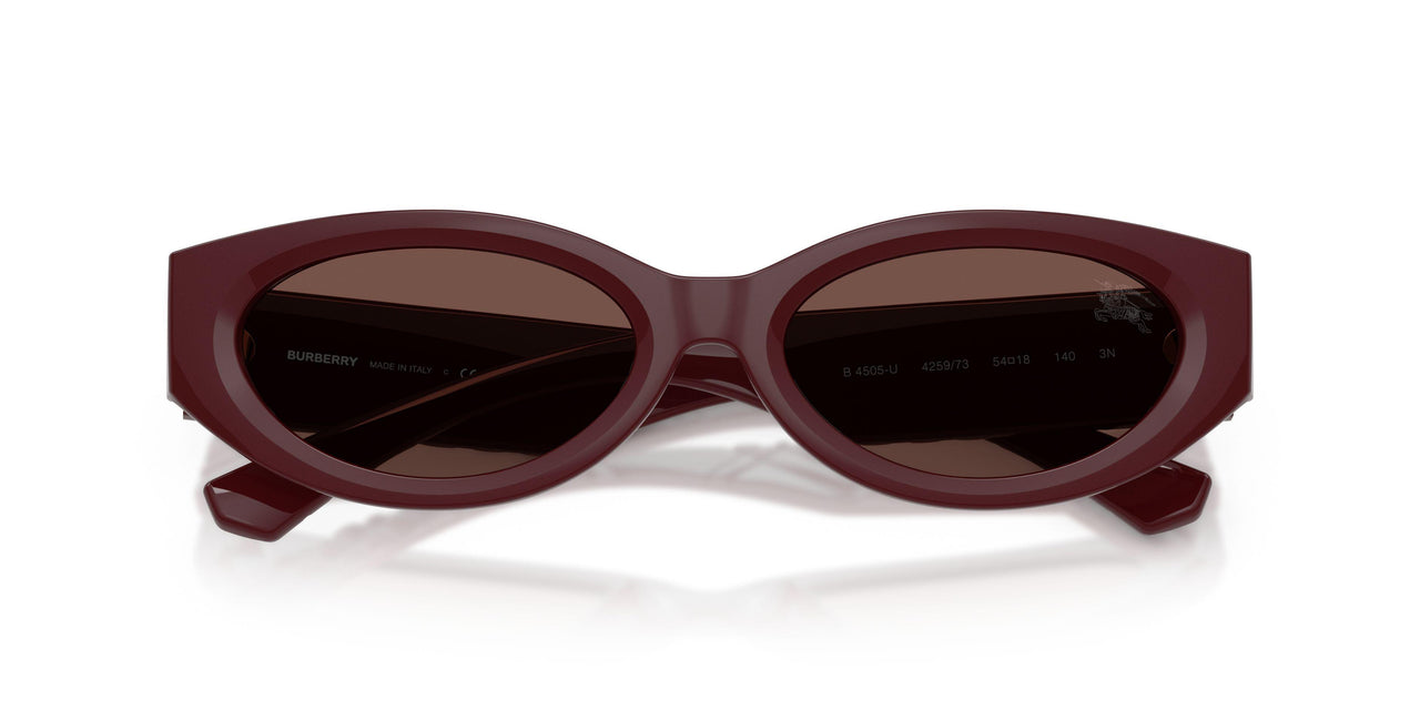 425973 - Red - Black Chocolate