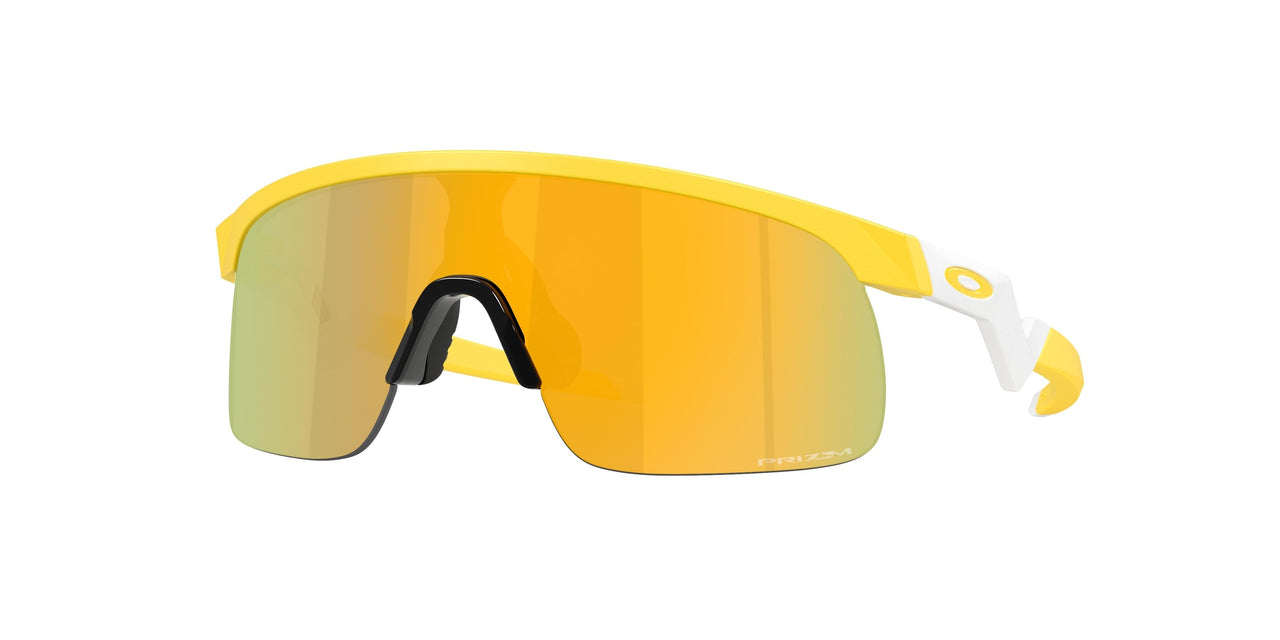 Oakley Resistor 9010 Sunglasses