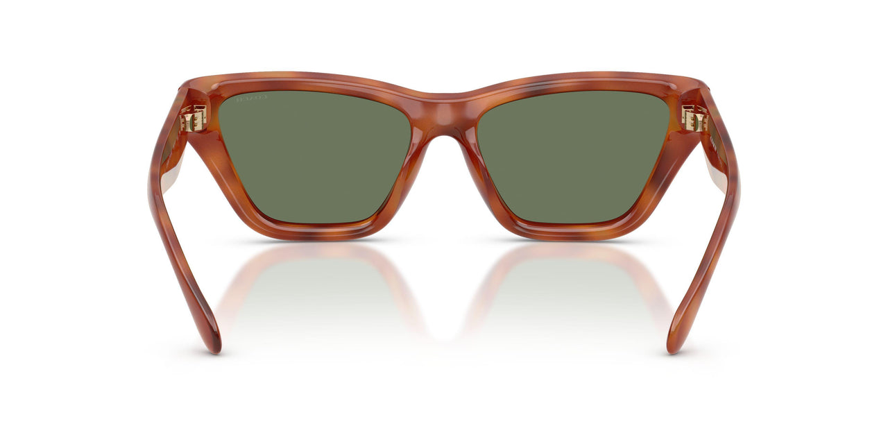 577482 - Tortoise - Green Solid