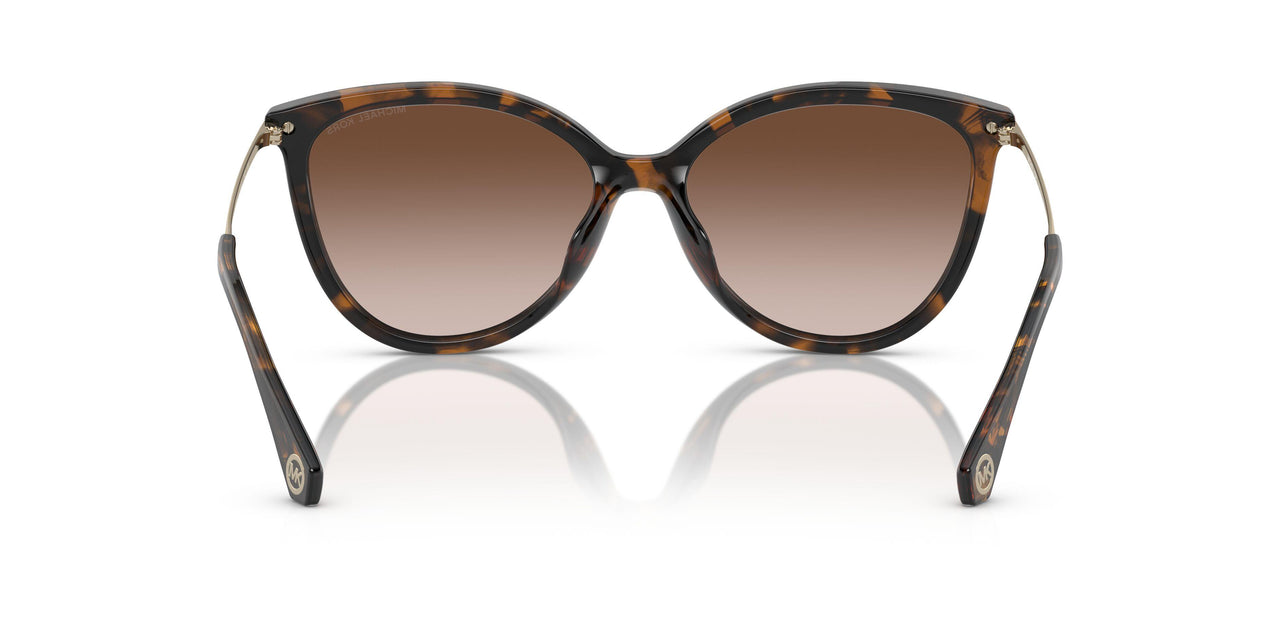 300613 - Tortoise - Brown Gradient