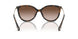 300613 - Tortoise - Brown Gradient