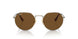 920757 - Gold - Brown Polar