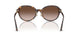 500213 - Tortoise - Gradient Brown
