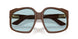 24D20R - Brown - Light Blue