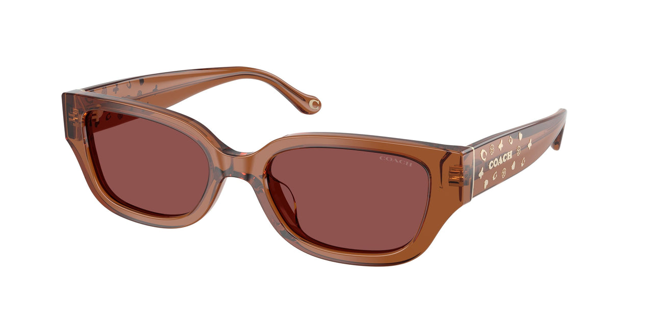 Coach Cbz52 8439U Sunglasses