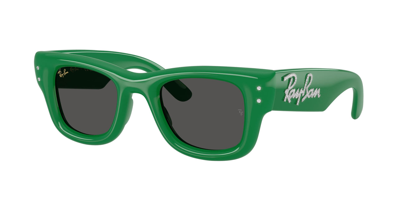 Ray-Ban Wayfarer Puffer 4940B Sunglasses