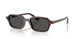 135987 - Tortoise - Dark Grey