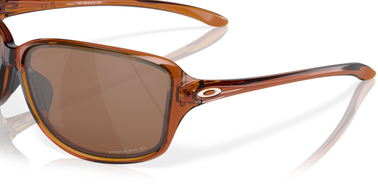 930108 - Prizm Black Polarized