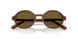 329673 - Brown - Dark Brown