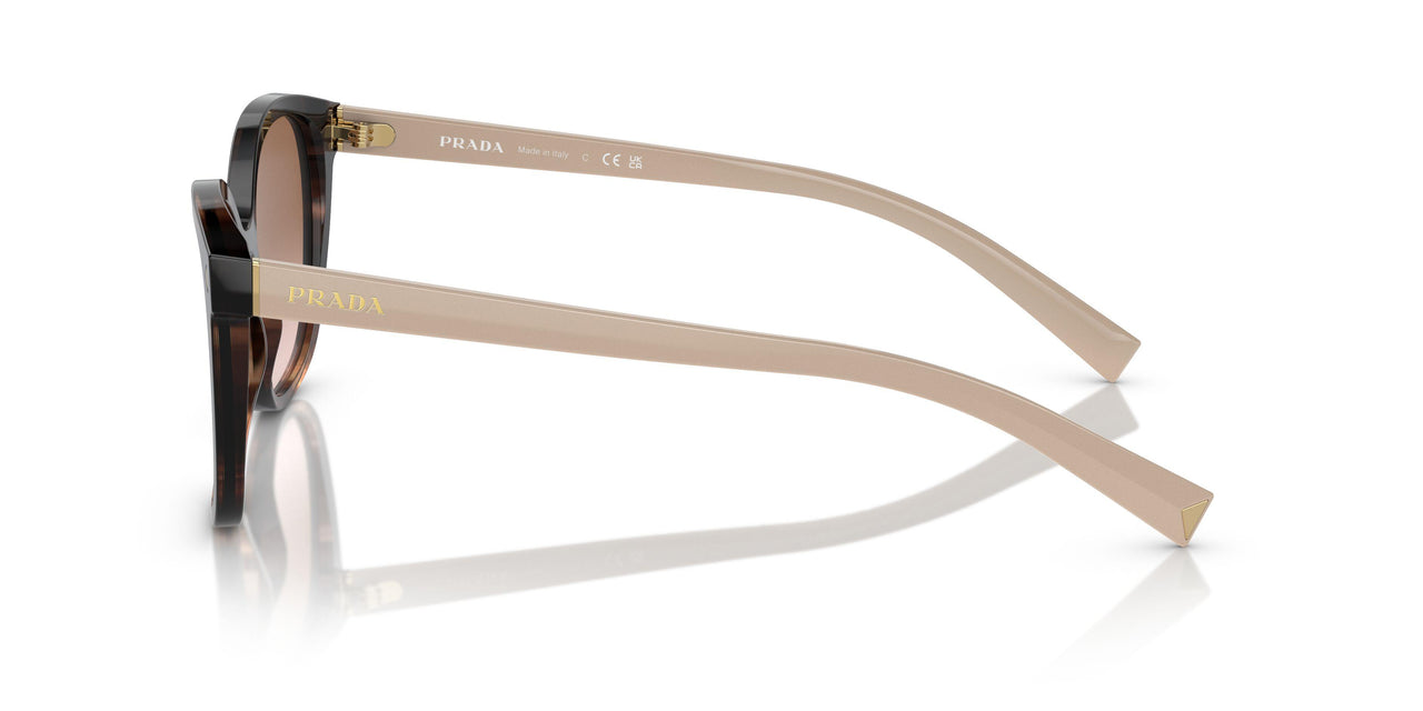 07R0A6 - Tortoise - Brown Gradient