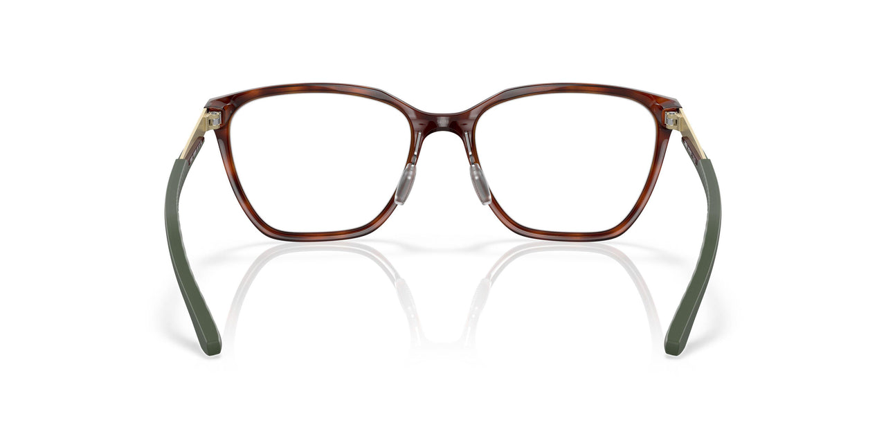 801302 - Tortoise