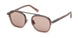 ZEGNA 0231 Sunglasses