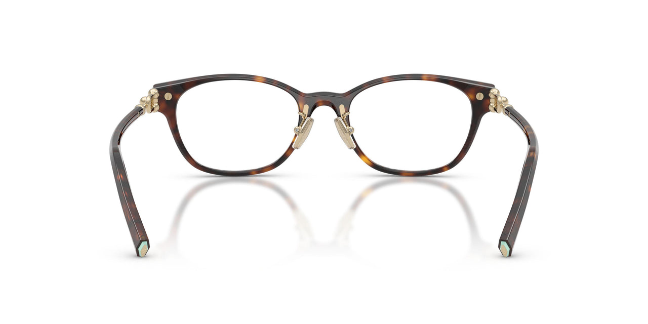 8015 - Tortoise