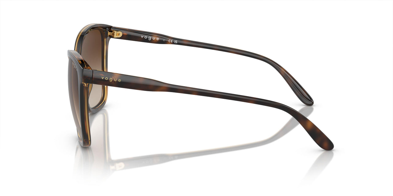 W65613 - Brown - Brown Gradient