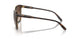 W65613 - Brown - Brown Gradient