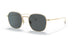 5311P2 - Gold - Midnight Express Polarized