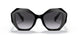 1AB5D1 - Black - Grey Gradient