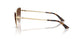 300613 - Gold - Gradient Brown