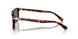 24/57 - Havana - Brown Polar
