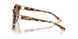 605613 - Tortoise - Gradient Brown
