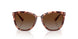 500313 - Gradient Brown
