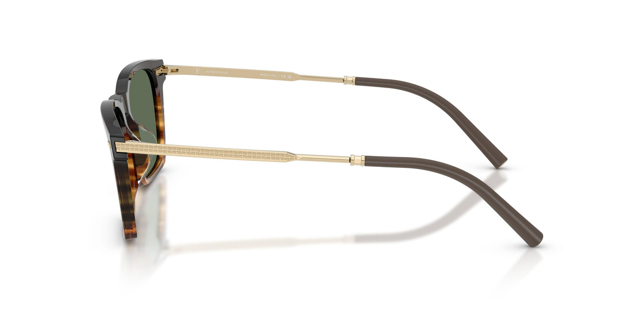 13929A - Brown - G-15 Polarized