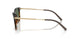 13929A - Brown - G-15 Polarized