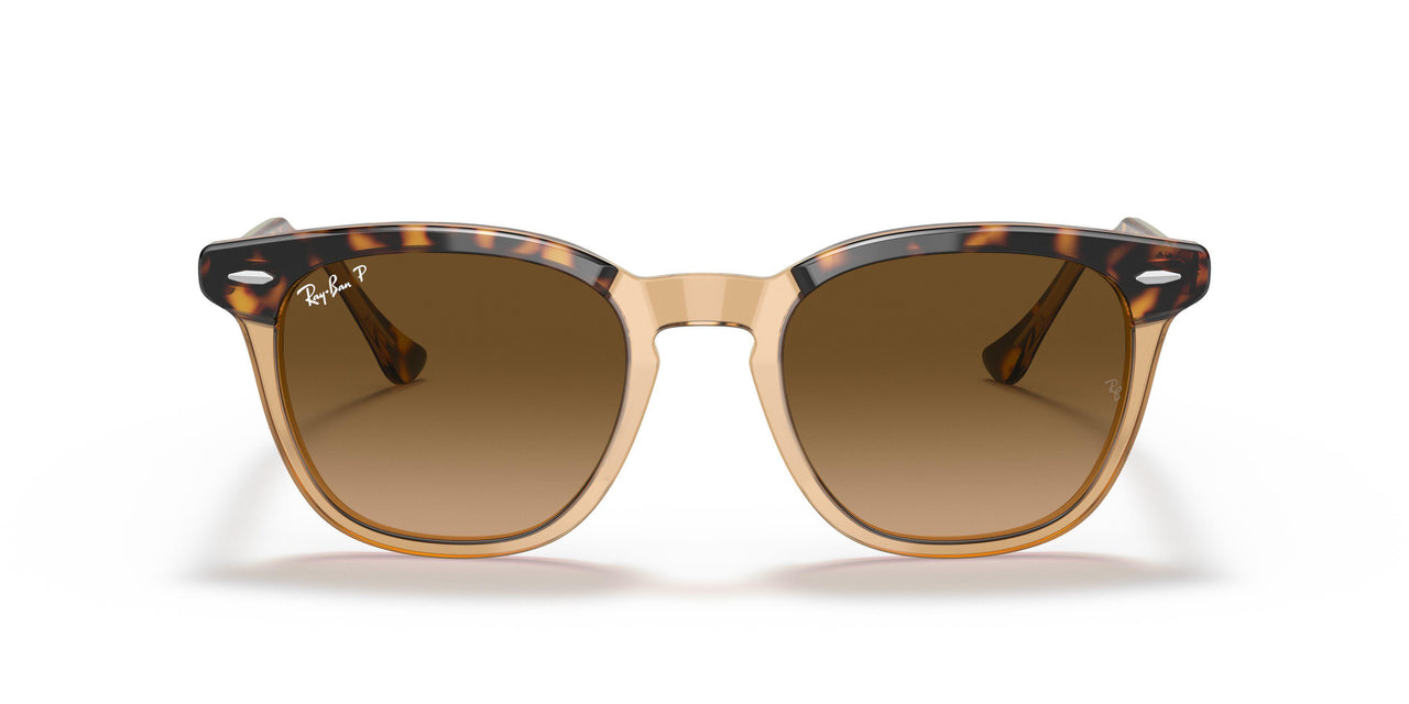 1292M2 - Havana - Brown Gradient Polar
