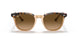 1292M2 - Havana - Brown Gradient Polar